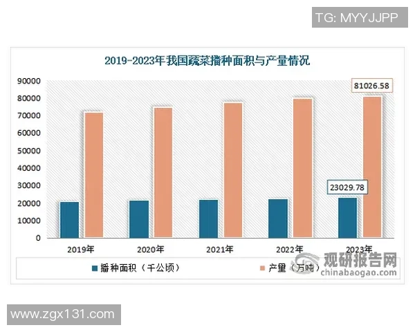 北京街舞队成员个人能力表现的深度数据分析与解读